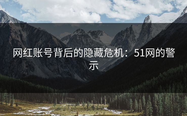 网红账号背后的隐藏危机：51网的警示